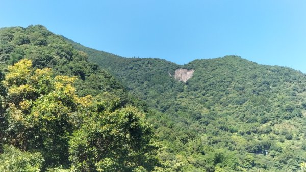 烏來大桶山腳下洦洦山澗、幽幽秘徑2542097