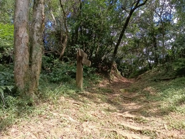 平溪區大華步道+幼坑古道+幼坑崙(大華車站-三貂嶺車站)2925272