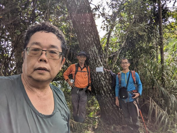 三腳南山 三腳南山南峰 雄峰 春峰 三界埔-南瀛百岳1894953