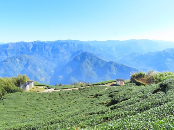 大尖山 走 後棟仔山