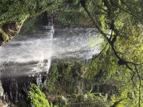 戲水（耘雲姊2786108