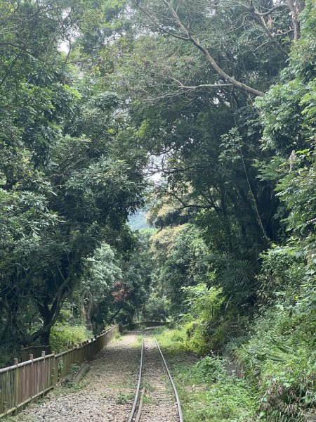 2022.10.15 阿拔泉山、獨立山、獨立山車站、樟腦寮車站、隙頂1953778