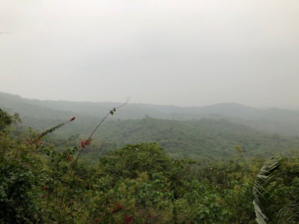 2020.04.02北柴山900708