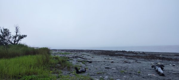 台東．森林公園202508013019168