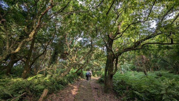 112.05.01走遍陽明山尋寶任務之紗帽山步道2138990