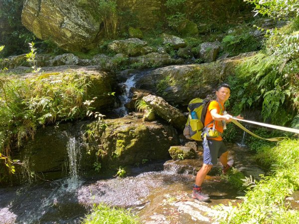 雙龍林道-巒安堂-西巒大山【一切都很美好 除了肩膀之外】2567831