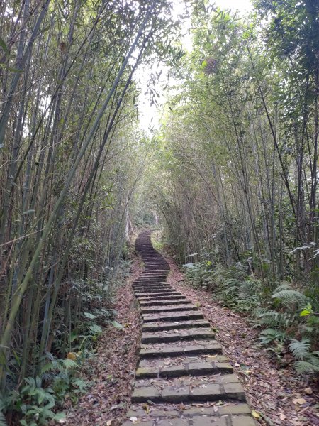 新竹橫山大崎棟古道1265358