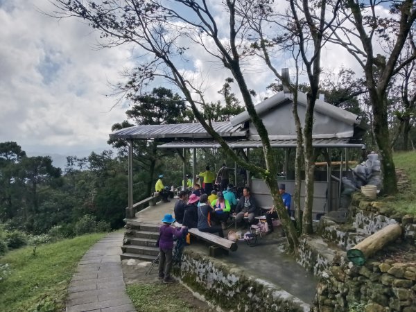 基隆市暖東舊道+頂子寮山+五分山步道(五分山)去回2946190