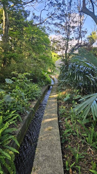 20260315玉皇宮-客官農場-崙子尾-青礐山-內寮山(騎車爬山)3016358
