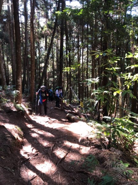 臺中 和平 馬崙山1150951