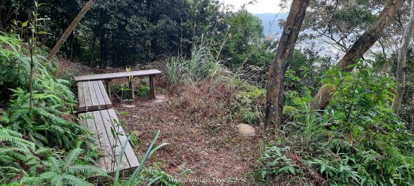 《苗栗》霧雨寒流｜三義三角山步道202512252969260