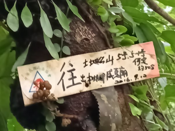 雙溪區后番子坑古道+后番子坑山+平湖東步道+大坑山+下內平林山+上內平林步道出平水2972924
