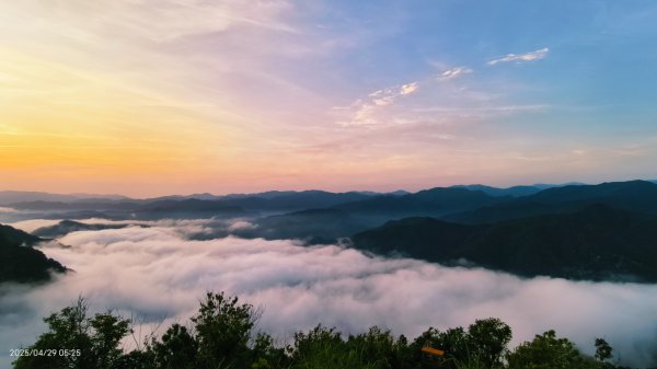 翡翠水庫壩頂 #火燒雲雲海 #日出雲海 #鱷魚島 #藍腹鷴 4/292772691