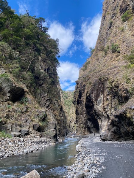 2026/01/31北港溪3008178