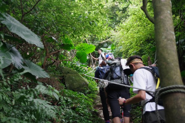 跟著創意去淨山706757