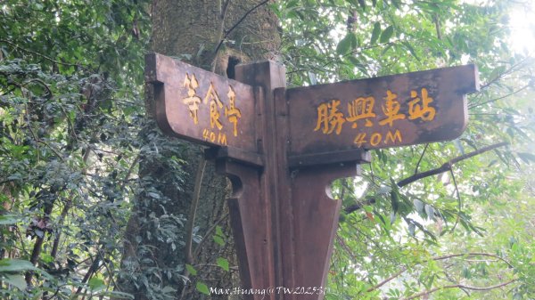 《苗栗》台鐵舊山線｜三義勝興鐵道覓境及挑柴古道O繞202501192693600