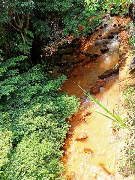 2-2 紗帽路旁磺溪祕境→白雲瀑布→陽明山前山公園→陽明醫院舊址1825880