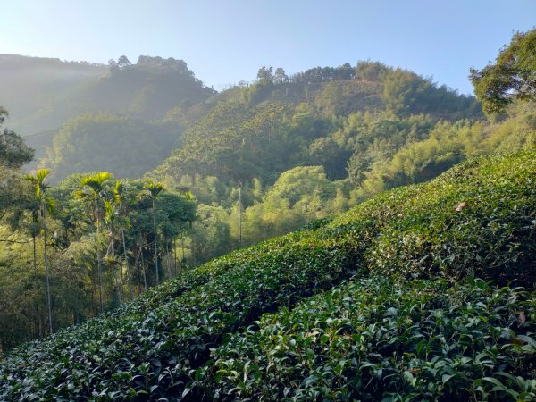 太平老街，大籠頂山，奉天岩，獨立山（嘉義竹崎）2235571