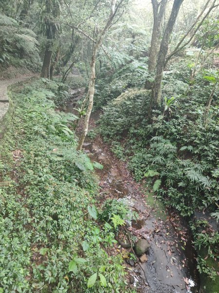 臺北大縱走第六段3025107