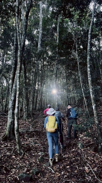 🌈11/15（六）松鶴上八仙山下森林遊樂區✨FB：熊熊趴爬走🌈2937646