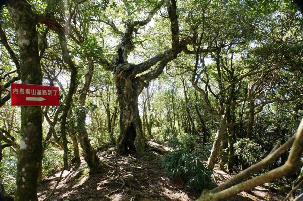 新竹 尖石 內鳥嘴山2899176