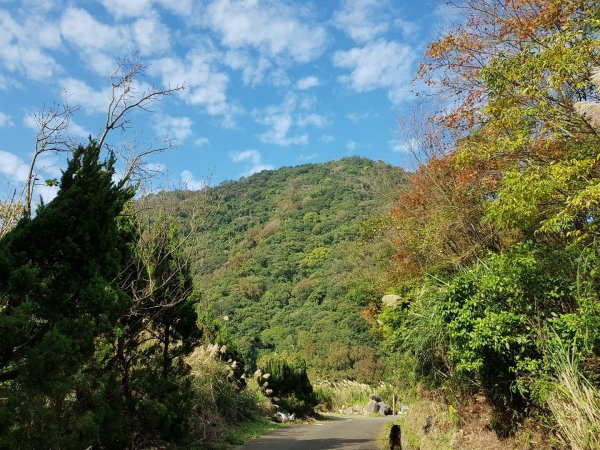 2018.12.17 天母-水管古道490936