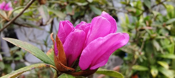 2024/12/22_出關古道出雲段2674456