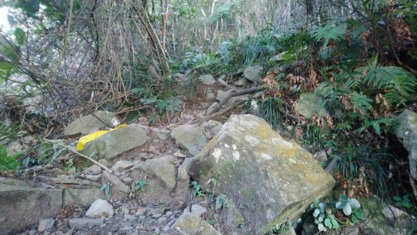 八仙山松鶴線689832