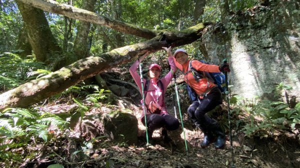 群鵝迎接的鵝公髻山1852064