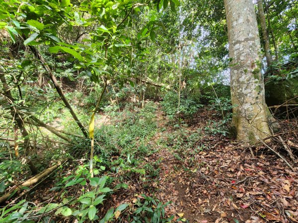 20251214石牛山柑坪山新柑坪山牛背岩2972748