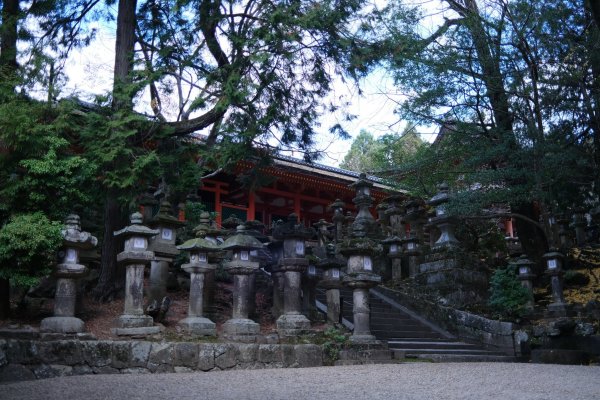 【海外健行】生駒宝山寺-奈良1942307