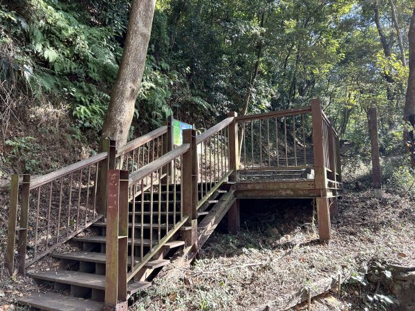 橫山觀日步道2957506