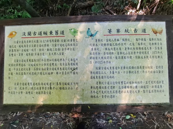 20230911淡蘭古道中段：五分山步道-暖東舊道2446823