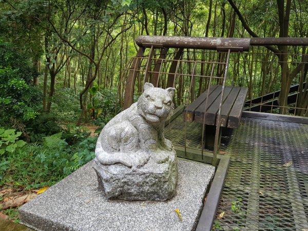 虎山溪步道1800975