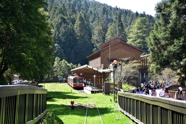 20251011追公車搭公車阿里山漫遊2910912