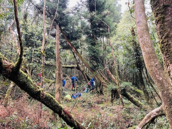 露門山路門1321429