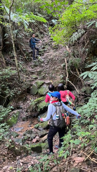 東勢大崙、東勢坑山、觀音湖山O走2986387