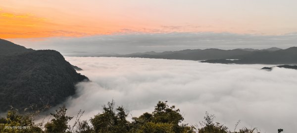 #翡翠水庫壩頂 #月亮 #日出 #雲海 #藍腹鷴母鳥 5/8&133050282