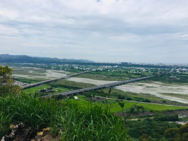 1090611火炎山相思樹花大開992660