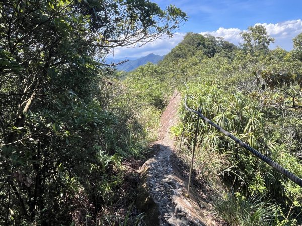 [微笑山線_第九段] 2025_0914 二格山系_天王峰2889613
