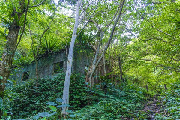 [新北]白雞山與裕峰煤礦遺址2891858