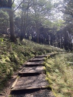 1130306大塔山步道2696764