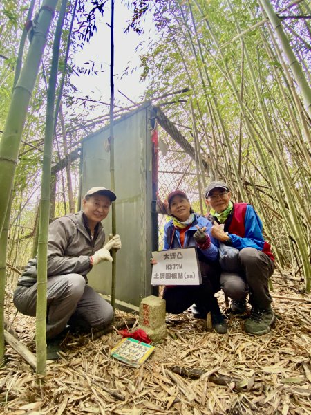 三義銅鑼基石巡禮--伯公龍.大坪凸.模麟坑山.鯉魚石下山.茄苳坑山.老雞隆山.社寮坪山2410090