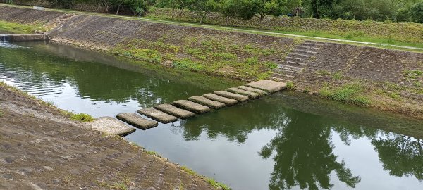 20230610_牛欄河河濱步道2178369