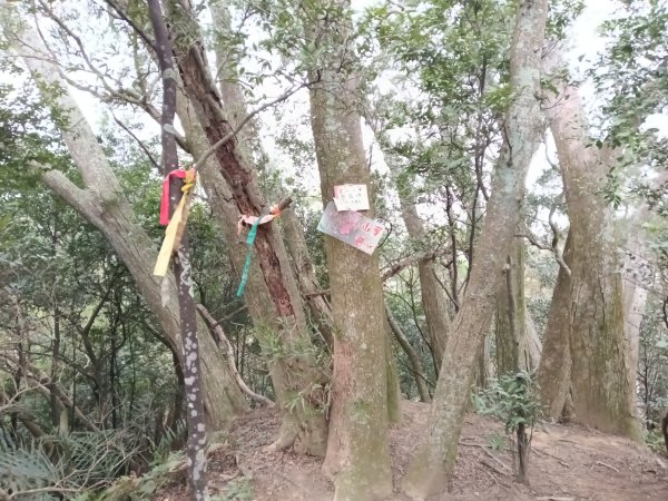 寶山鄉寶山水庫(寶山東峰+中峰+中西峰+西峰+西北峰)+尖山O型3012541