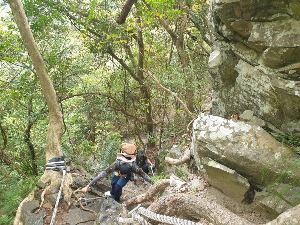 麗陽上屋我尾山2683118