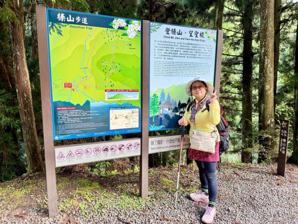 觀霧-榛山步道2926094