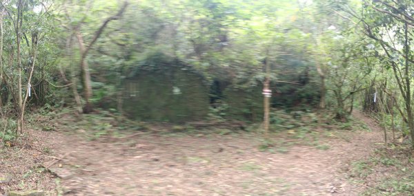 雙溪區溪尾寮古道-藤寮坑古道O型3114490