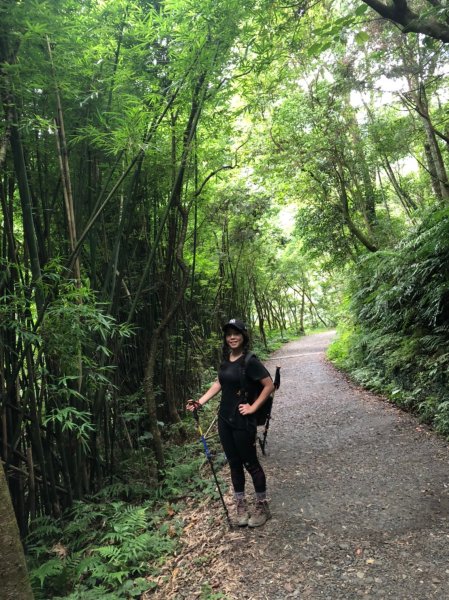 療癒系抹茶山，小百岳三角崙山，五峰旗瀑布1029900