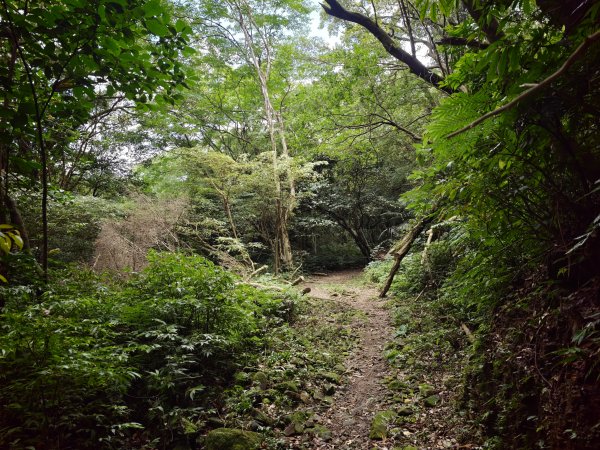 [淡蘭古道] 2026_0531 北路第一段_燦光寮古道(下)-牡丹溪畔3070961
